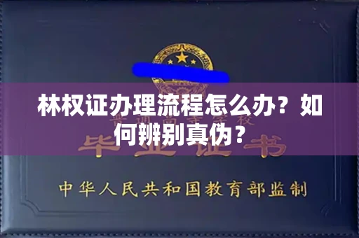 北京林权证办理流程怎么办?如何辨别真伪?